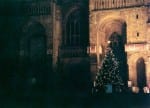 A film photograph of a Christmas tree with lights on (from St Barnabas' Light Up A Life event) outside Lincoln's Cathedral.